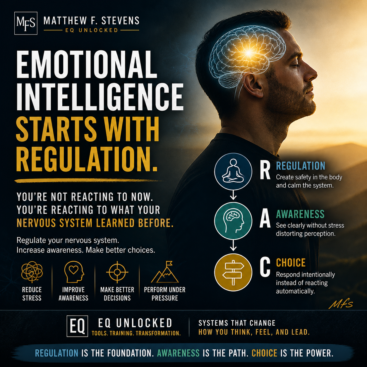 Emotional intelligence and nervous system regulation graphic by Matthew F. Stevens featuring the Regulation → Awareness → Choice framework.