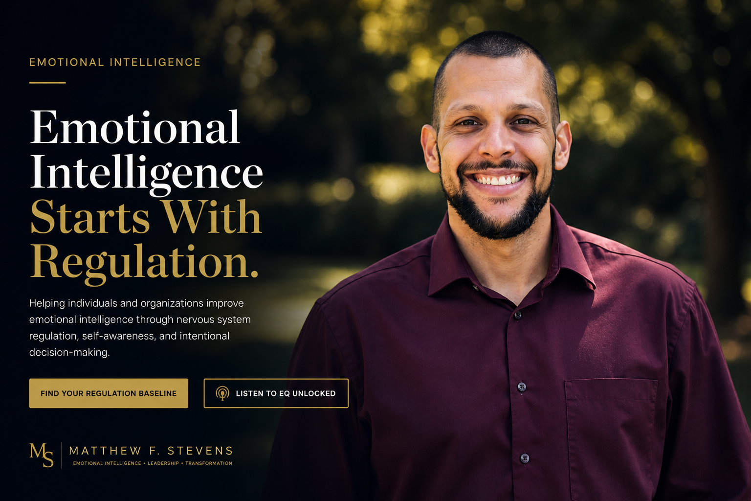 Matthew F. Stevens homepage hero image focused on emotional intelligence, nervous system regulation, and emotional awareness.